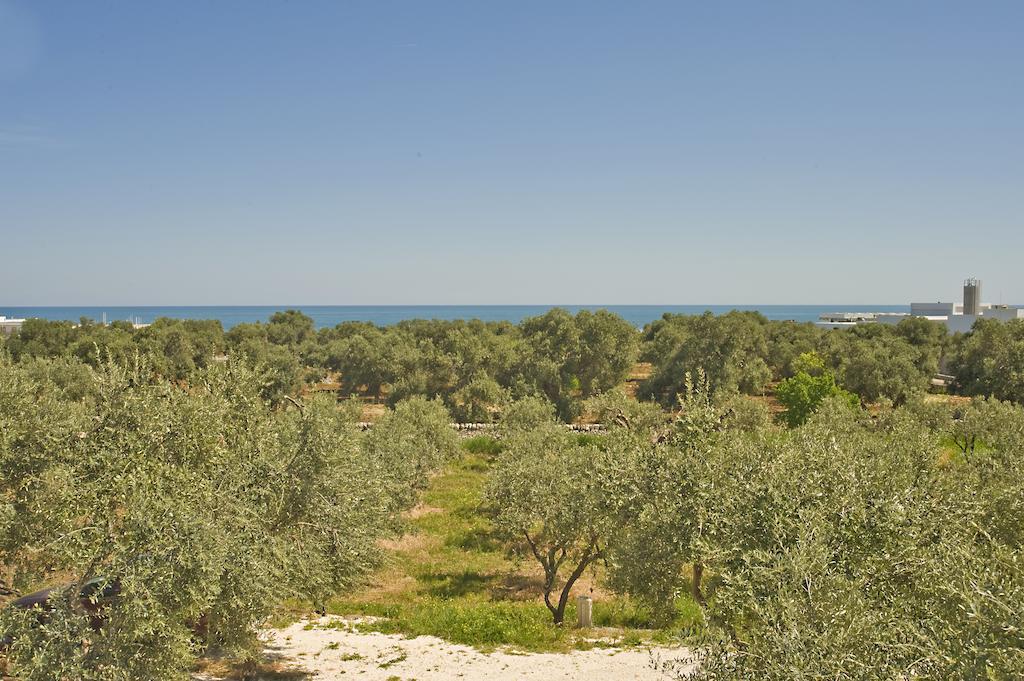 Masseria Spina Resort モノーポリ 部屋 写真