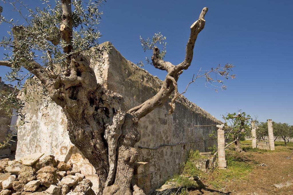 Masseria Spina Resort モノーポリ 部屋 写真